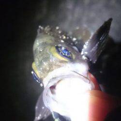 よくなってきたかな?