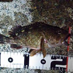 なかなか難しい