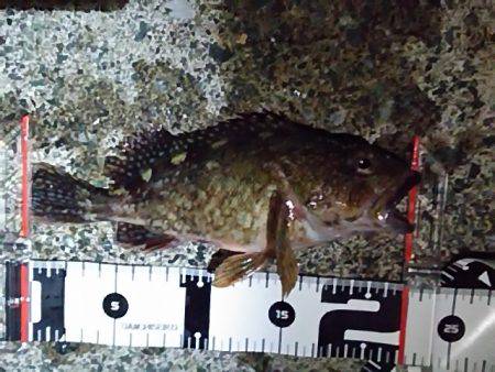 なかなか難しい