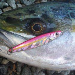 ショアジギング釣行