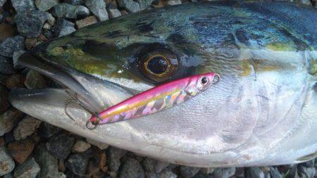 ショアジギング釣行