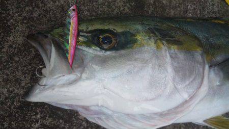 ショアジギング釣行