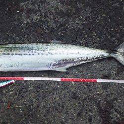 今だけの特別な時間