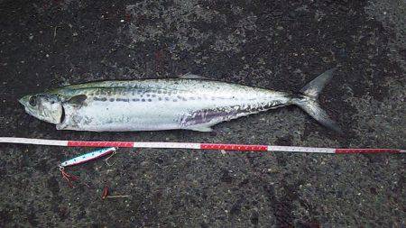 今だけの特別な時間