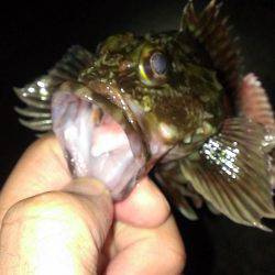 型は選べない？