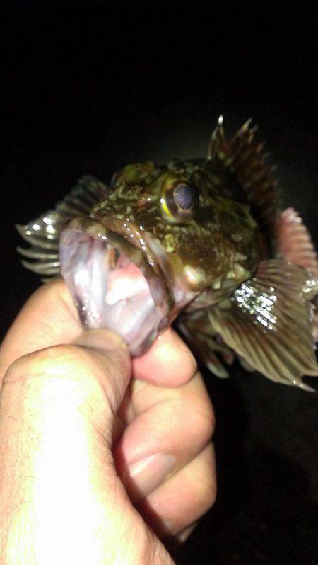 型は選べない？