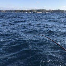 シマアジ求めて