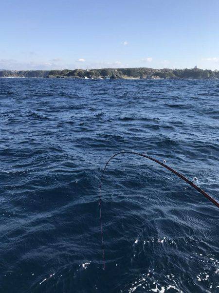 シマアジ求めて