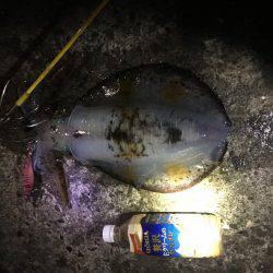 どこも人が多い！