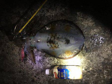 どこも人が多い！