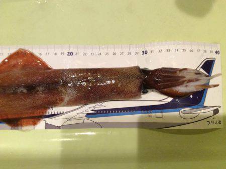 友達とヤリイカ釣り