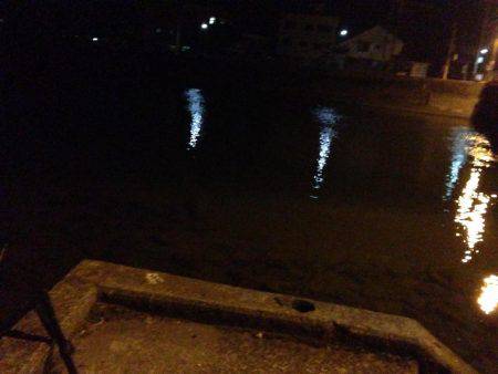 河口でシロウオパターン