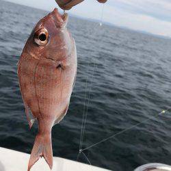 マイボート釣行