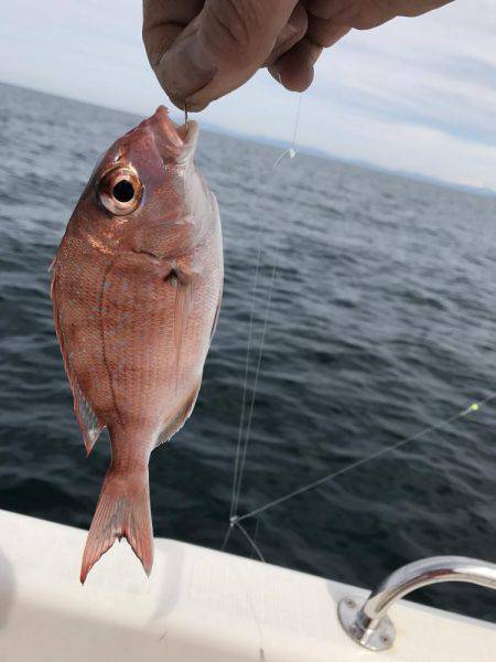 マイボート釣行