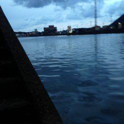 シロウオパターン！！河口で夕まずめの一本