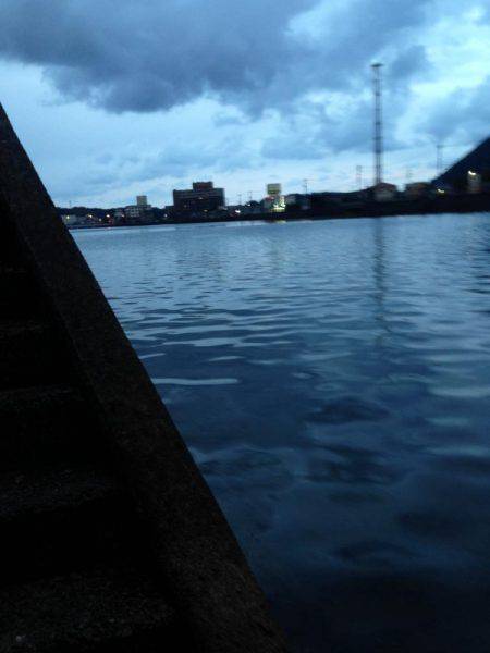 シロウオパターン！！河口で夕まずめの一本