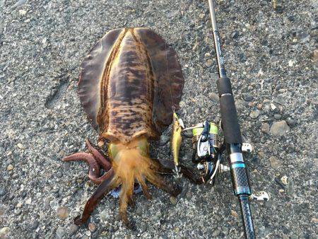 仕事終わりパート2