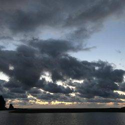 夕方はミニセイゴ！