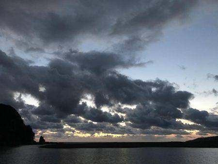 夕方はミニセイゴ！