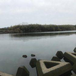 ポイント変えても…