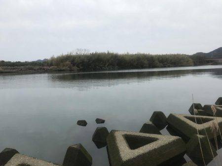 ポイント変えても…