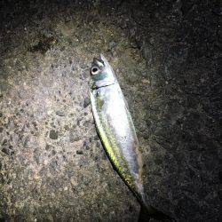 活性は高いが小さい