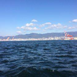 ピカピカの魚体