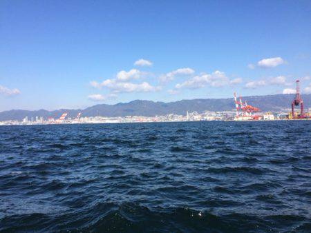 ピカピカの魚体