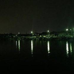 初めてのメバル プラッキング。