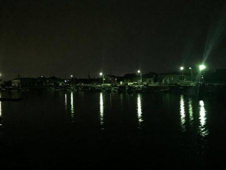 初めてのメバル プラッキング。