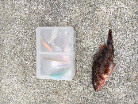 自作キャロのテストだよ