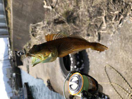 釣れない時は釣れる釣りを