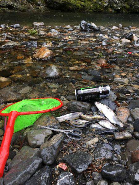 雨でポツポツ釣れました