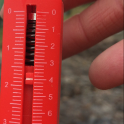 岡山から単身赴任でエギング三昧