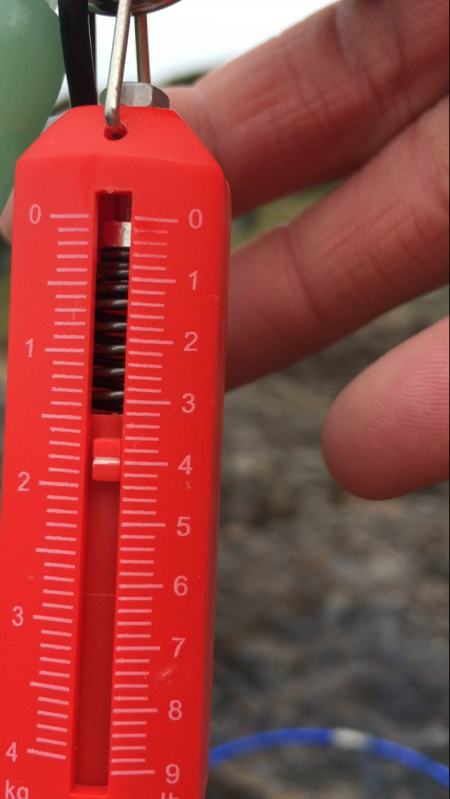 岡山から単身赴任でエギング三昧