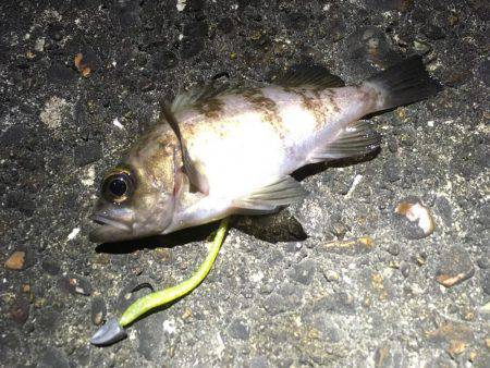 何てシブいんだ！