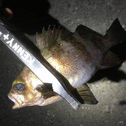 リベンジしかないッ！