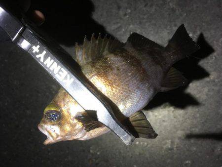 リベンジしかないッ！