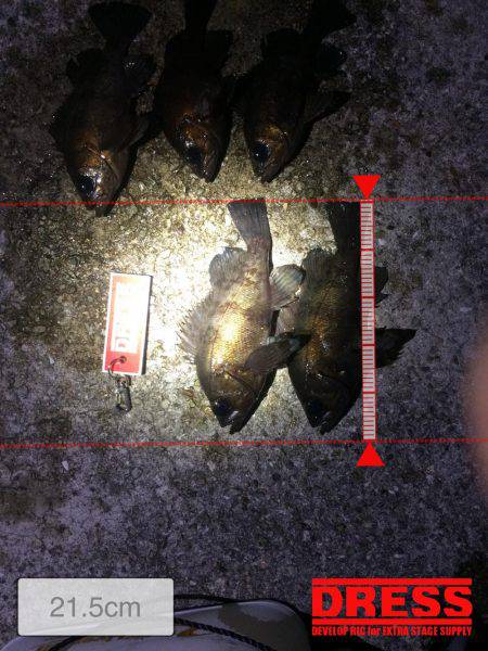 最低これ位は！