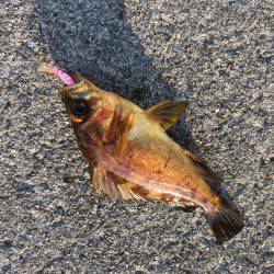 デイメバリング