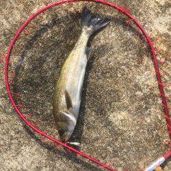 アウェイに出撃