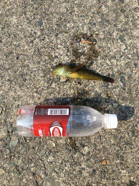 アジュール舞子でメバリング