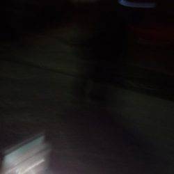 渋いながらの釣果