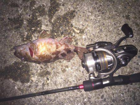 ライトライトライト