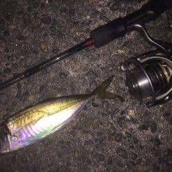 ライトライトライト遠征