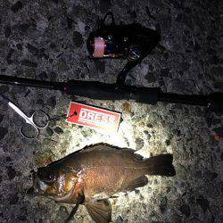 狙いのサイズが！