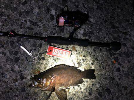 狙いのサイズが！