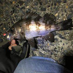 ここのアベレージサイズ