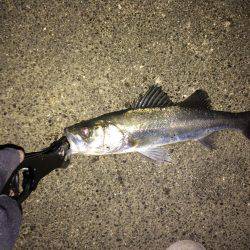 粘ってなんとか。