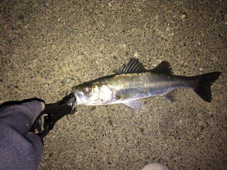 粘ってなんとか。